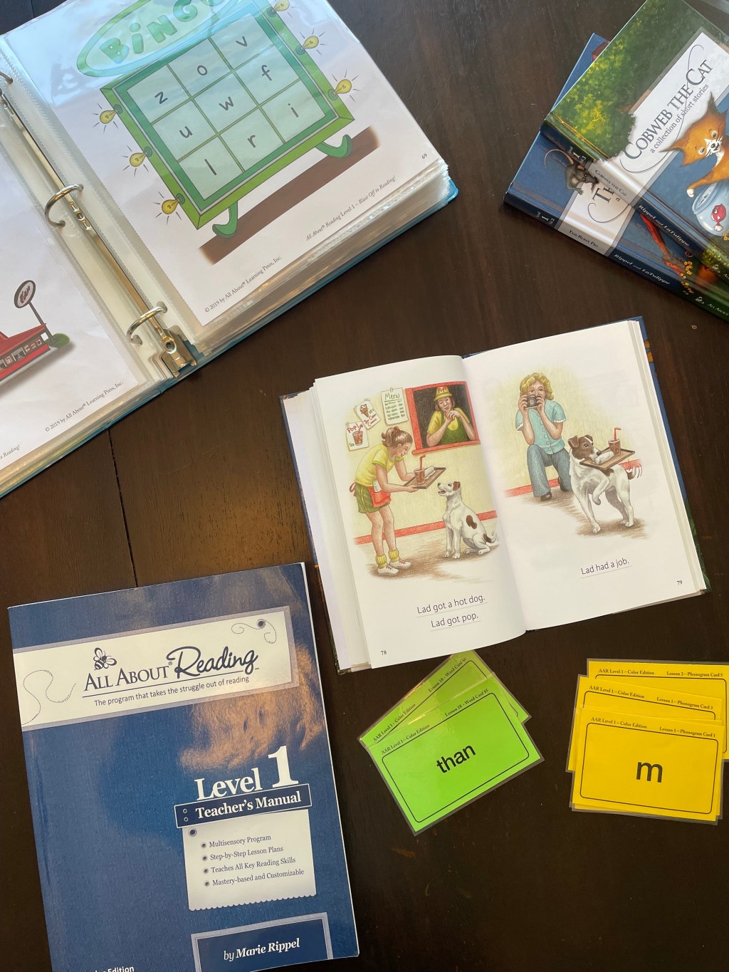 Why We Chose All About Reading for Our Homeschool Kindergarten (and Why I’m Already a&nbsp;Fan)